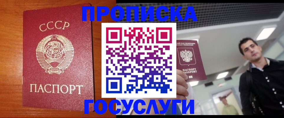 регистрация в Камчатском крае